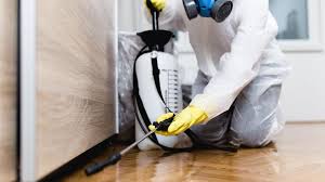 Best Pest Prevention Services  in Bedford, VA